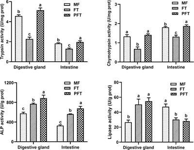 Effects of feed transition on digestive tract digestive enzyme, morphology and intestinal community in cuttlefish (Sepia pharaonis)